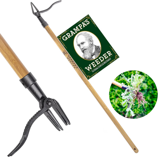 - the Original Stand up Weed Puller Tool with Long Handle - Made with Real Bamboo & 4-Claw Steel Head Design - Easily Remove Weeds without Bending, Pulling, or Kneeling.