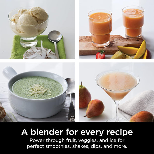 BL610 Professional 72 Oz Countertop Blender with 1000-Watt Base and Total Crushing Technology For-Smoothies, Ice and Frozen Fruit, Black
