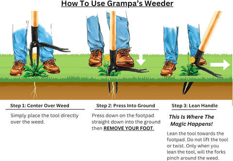 - the Original Stand up Weed Puller Tool with Long Handle - Made with Real Bamboo & 4-Claw Steel Head Design - Easily Remove Weeds without Bending, Pulling, or Kneeling.